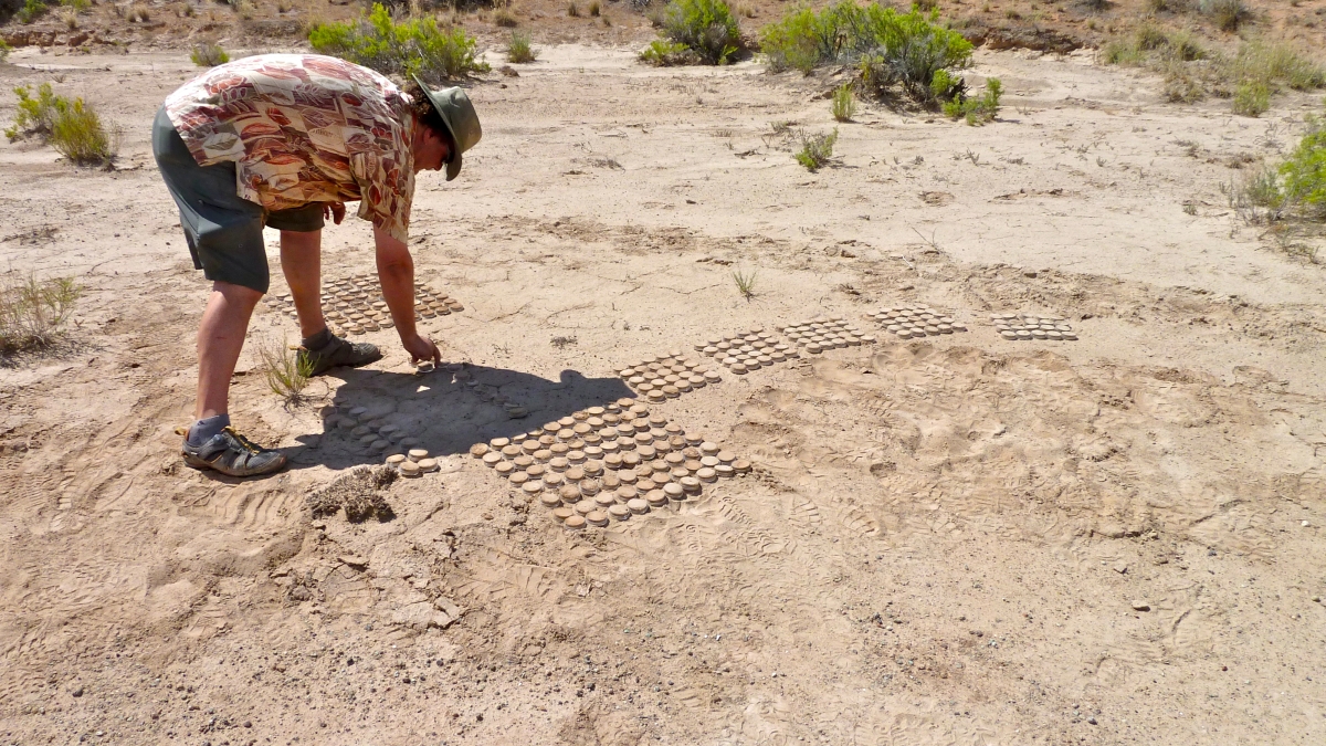 Researchers collect soil crust samples in cool and warm desert environments.