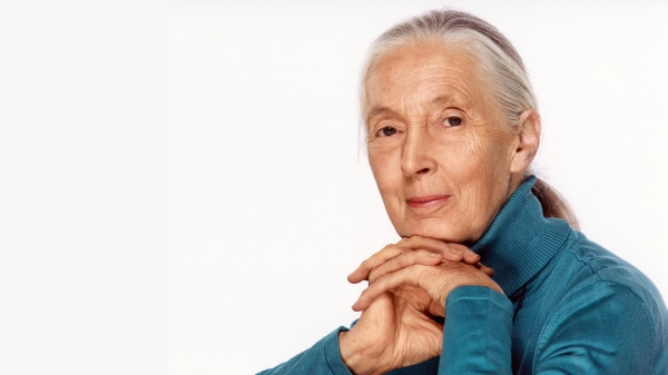 portrait of primatologist Jane Goodall